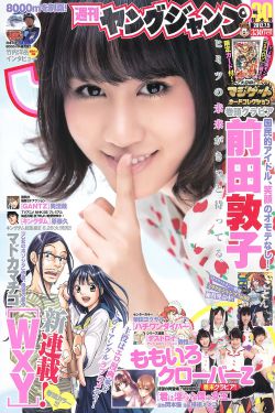 永夜长明电视剧免费播放